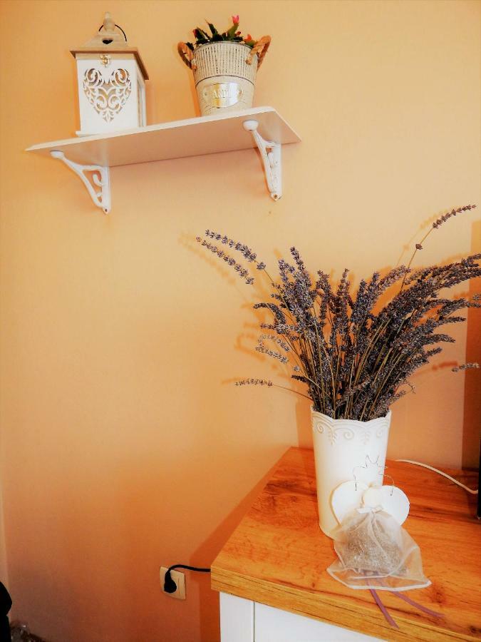 וואראז'דין Studio Apartman Tvrtko מראה חיצוני תמונה