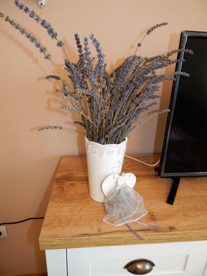 וואראז'דין Studio Apartman Tvrtko מראה חיצוני תמונה